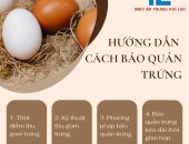 HƯỚNG DẪN CÁCH CHỌN TRỨNG ẤP ĐẠT HIỆU QUẢ CAO