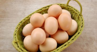 Cách bảo quản trứng gà trước khi ấp